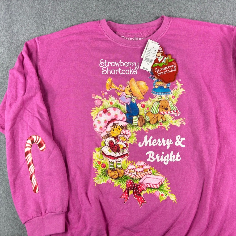 Soft Girl Strawberry Shortcake Pink Sweater L/XL NWT